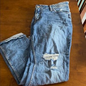 Silver Jeans Elyse Straight